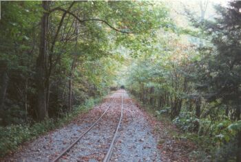 Looking down the narrow gauge tracks