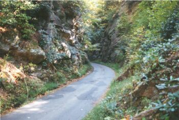 A cut on old railroad grade road