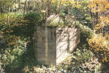 Remains of a ET&WNC trussel west of Newland N C