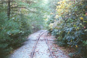 One of the narrow gauge switches
