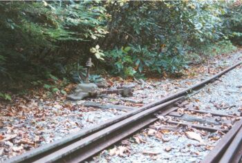One of the narrow gauge switches
