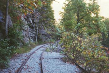Doe River Gorge narrow gauge tracks