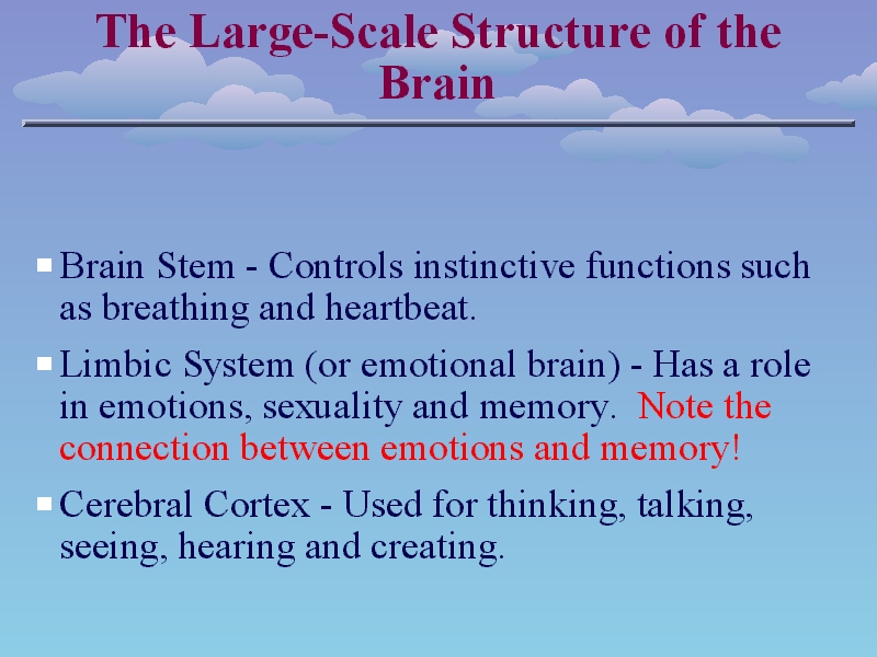 Slide 5