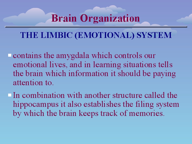 Slide 6