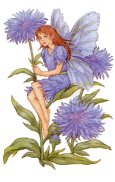 Blue Fairy