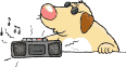 cool dog