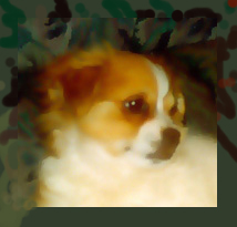 Jendi, the little bitch from Down Under