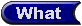 [What button - selected]