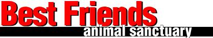 Support their philosophy of a good home for every animal!