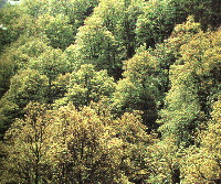 Estaca de Bares