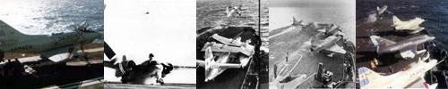 the Air Group at the cat