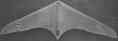 Horten Wing-only