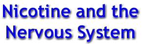 Nicotine and the Nervous System