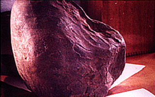  Abee Meteorite 