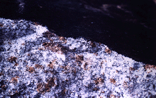  Close-up of the Bruderheim Meteorite showing granular structure