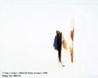 Images/0811962.jpg (6734 octets)