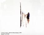 Images/2211962.jpg (6445 octets)