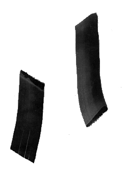 alcopley.jpg (19191 octets)