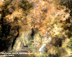 0009742.jpg (22181 octets)