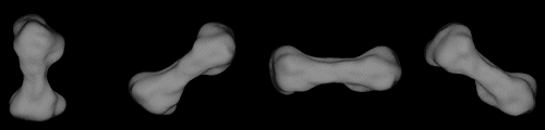 bone asteroid