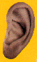 Can We 'Ear You??