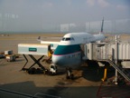 DSCN0831.JPG