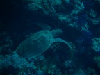 DSCN0840.JPG