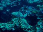 DSCN0846.JPG