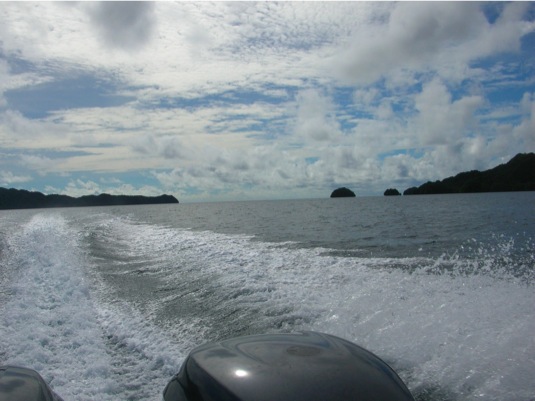 Loading Image