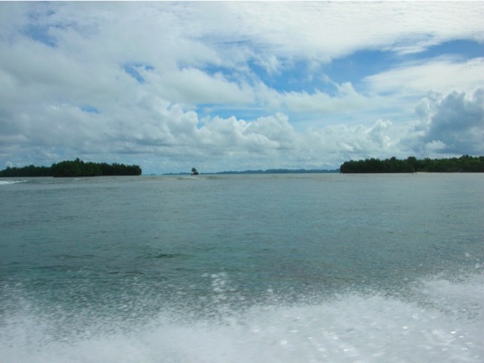 Loading Image