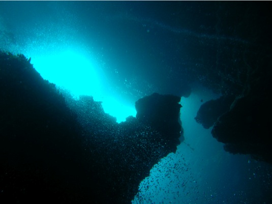 Loading Image