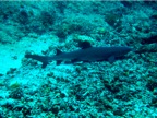 DSCN3848.JPG