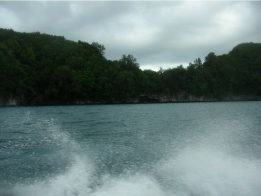 Loading Image