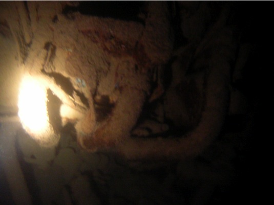 Loading Image