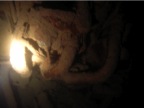 DSCN3891.JPG