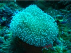 DSCN3910.JPG