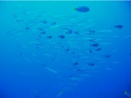 DSCN3916.JPG