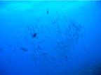 DSCN3921.JPG