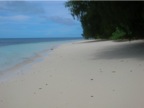 DSCN3935.JPG