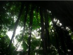 DSCN3942.JPG