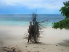 DSCN3950.JPG