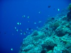 DSCN0913.JPG