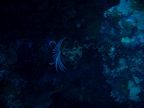 DSCN0919.JPG