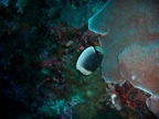 DSCN0925.JPG
