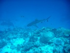 DSCN0971.JPG