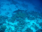 DSCN0972.JPG