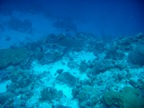DSCN0973.JPG