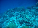 DSCN0974.JPG