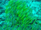 DSCN4031.JPG