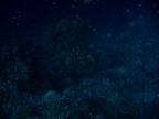 DSCN1017.JPG